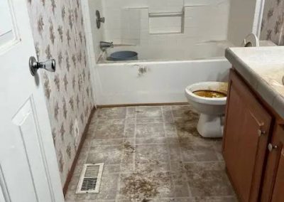 Professional Dining Room Cleaning
